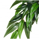 Rucus plante I Silke 35 cm.
