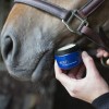 Nathalie Horse Care Mouth Fix 50 ml.