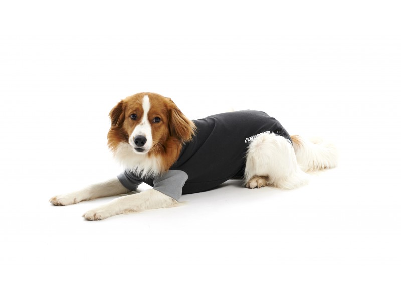 lindre essens antik BUSTER Body Suit EasyGo til hunde sort/grå 25 cm XXXS