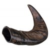 Bøffel horn +- 50 cm. 1 stk.