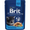 Brit Premium Kitten Med Kylling 10x100 gr.