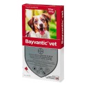 Bayvantic Vet. Hund 10-25 kg 4x2,5 ml.