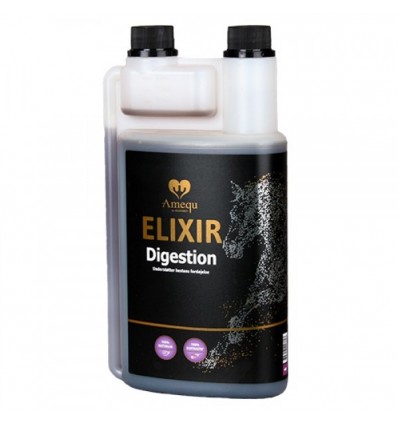 Dangro Amequ Elixir Digestion 1 L.