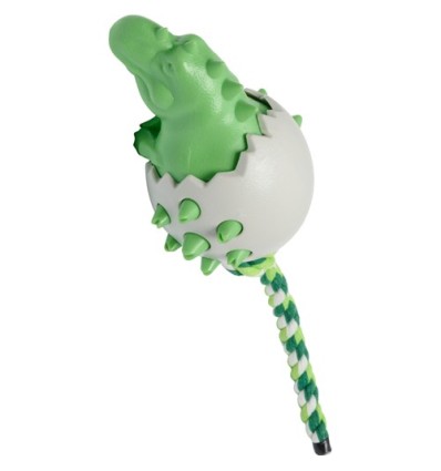 Companion Chewing Toy Dinosaur æg