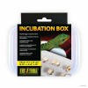 ExoTerra Incubation Box til krybdyræg
