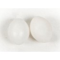 Plastik æg massiv Undulat 2,5 cm - 10 stk