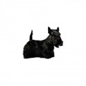 Dekal Skotsk Terrier Helfigur Stor ca. 17 cm.