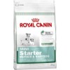 Royal Canin Mini Starter 8,5 kg.