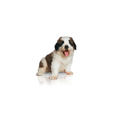 Royal Canin Baby Dog Milk 400 gr.