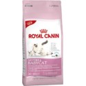 Royal Canin Mother & Babycat 4 kg.