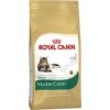 Royal Canin Maine Coon Adult 10 kg.
