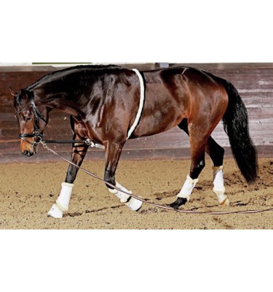 Scan-Horse Soft Longeringshjælp Pony/Cob